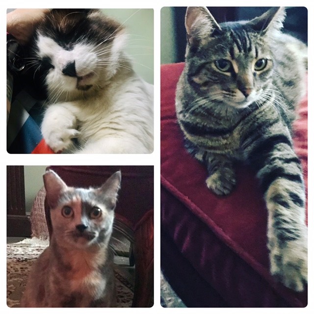 Kerry Leonard | Directors | California Association of Peer Supporters Academy